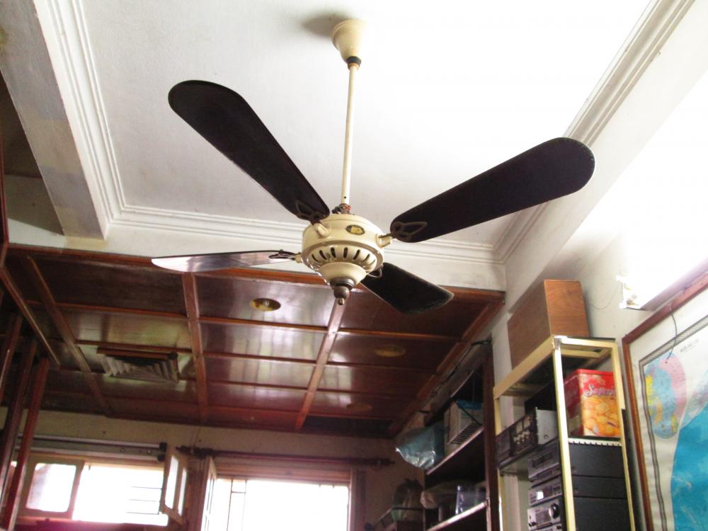 1920 -1930C. Century Antique Marelli fan